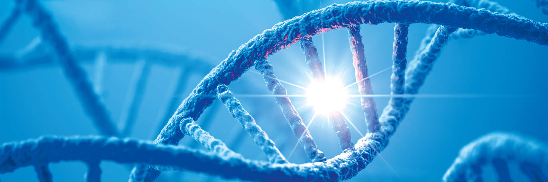 Illustration of a DNA Helix